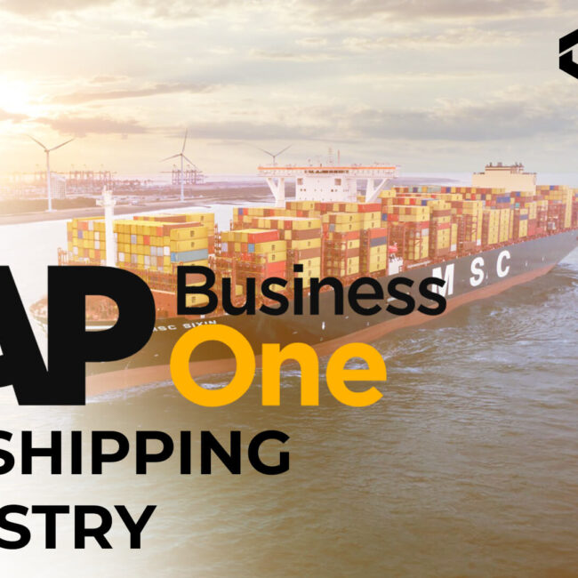 sap business one for shipping industry