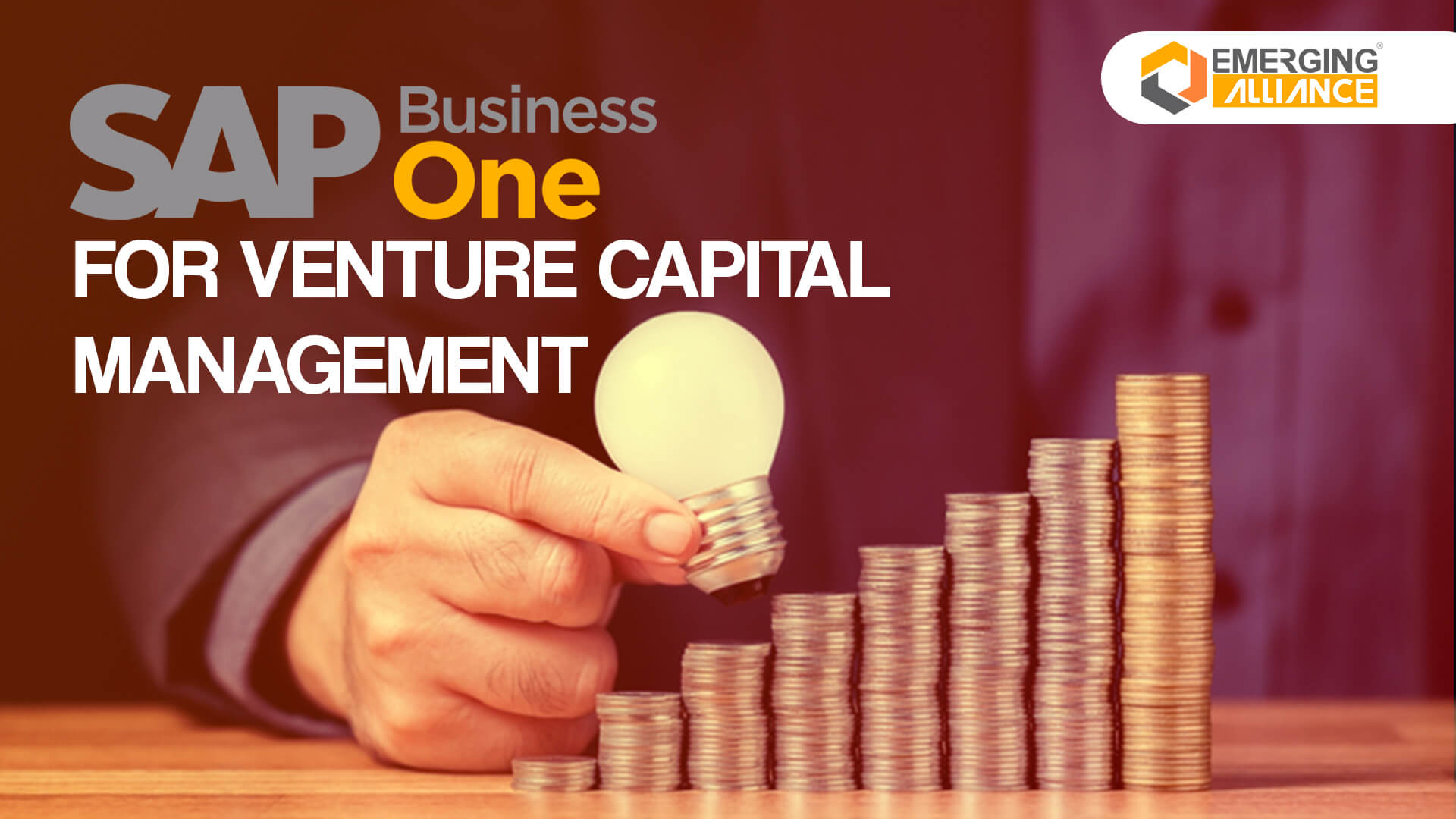sap b1 for venture captial management