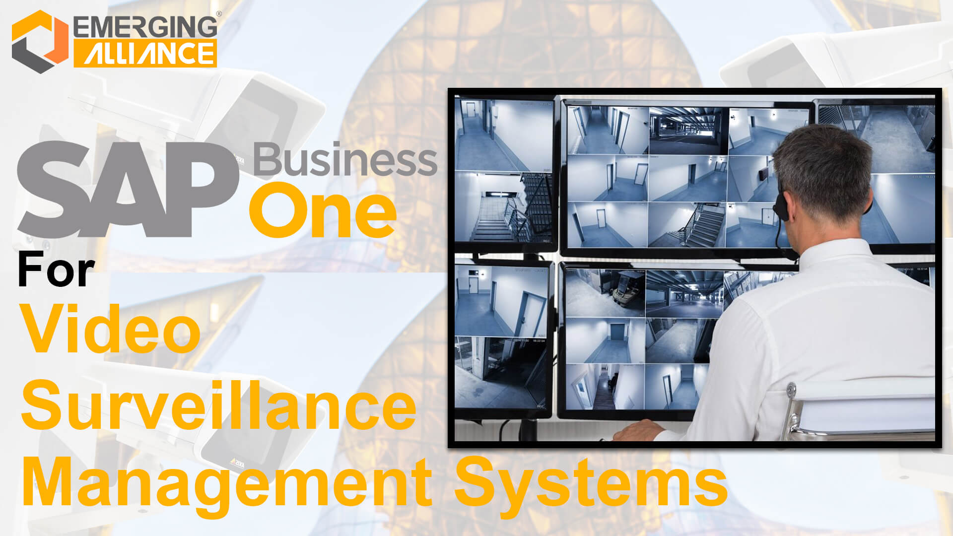 sap business one for video surveillance management systems