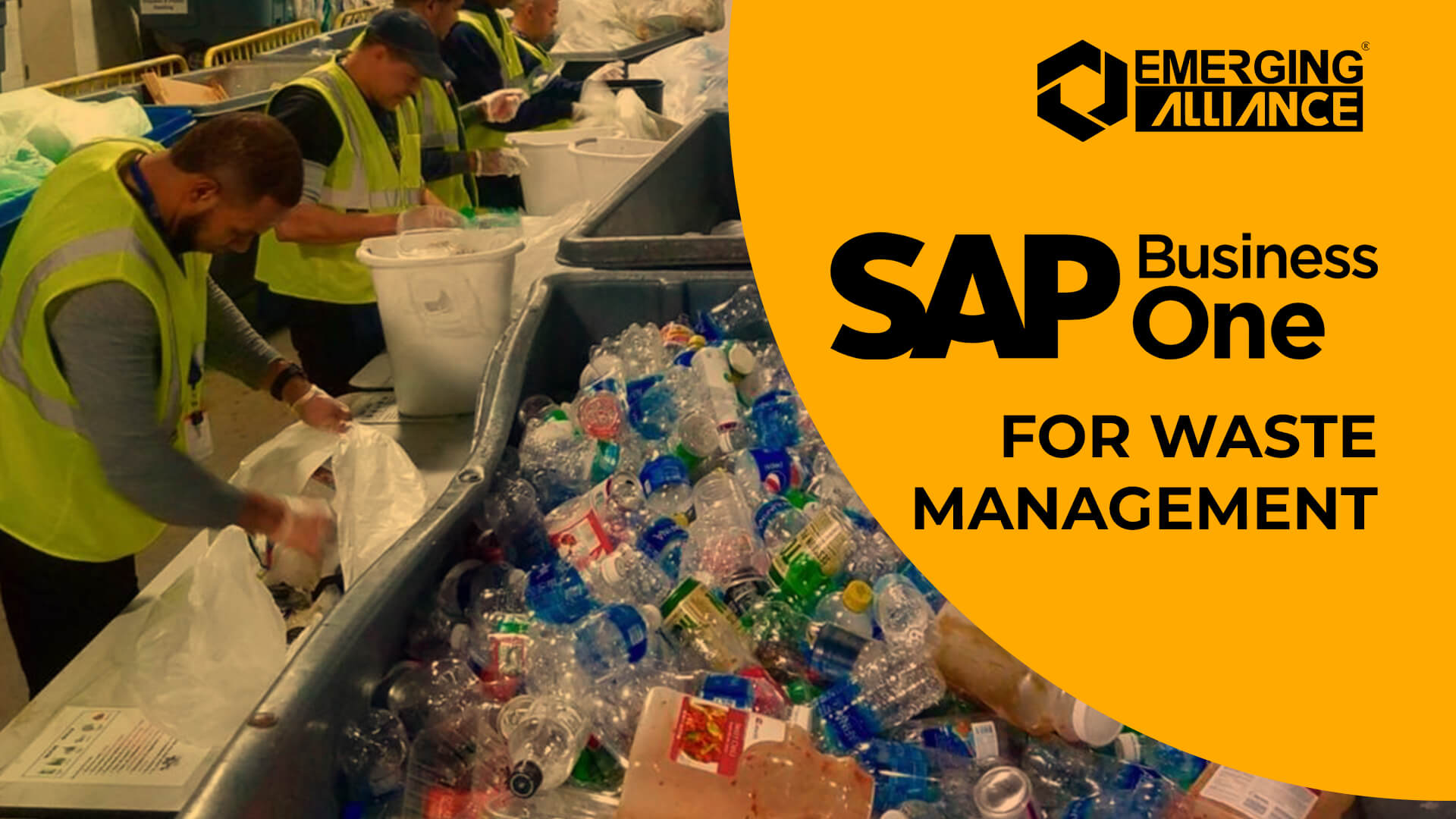 sap b1 for waste managemet