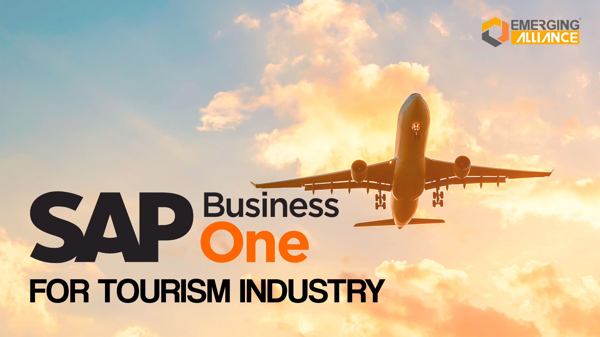 SAP Business One SAP B1 ERP Tourism Industry