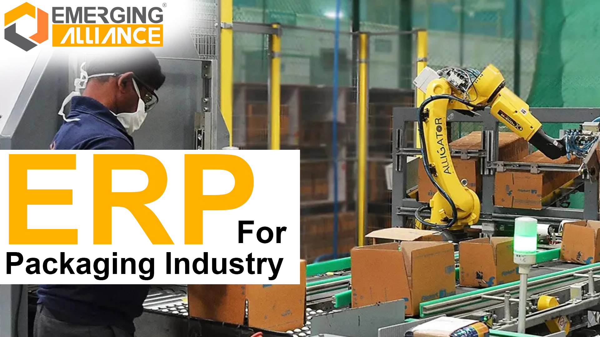 ERP for Packaging Industry