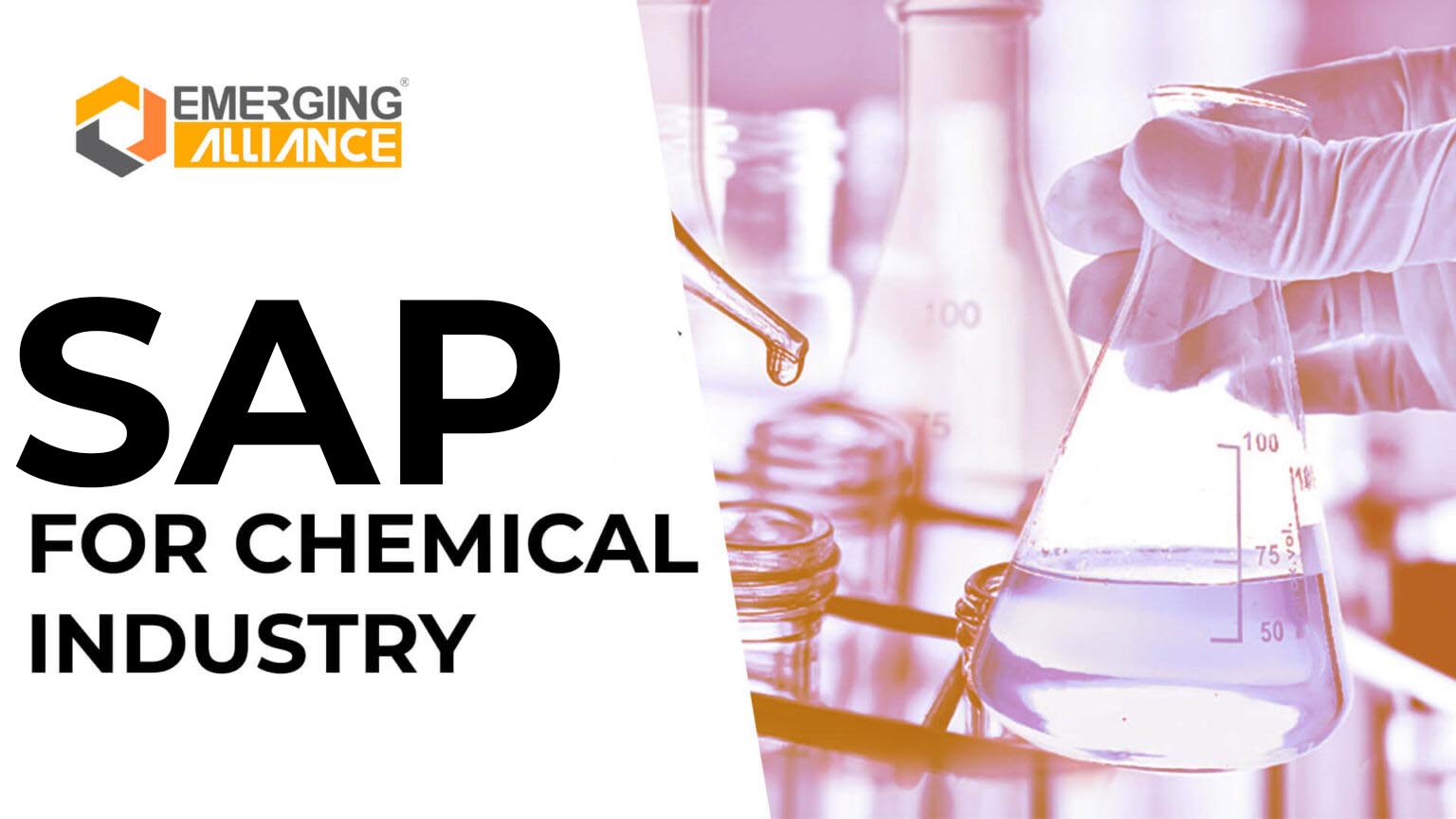 SAP for Chemical Industry