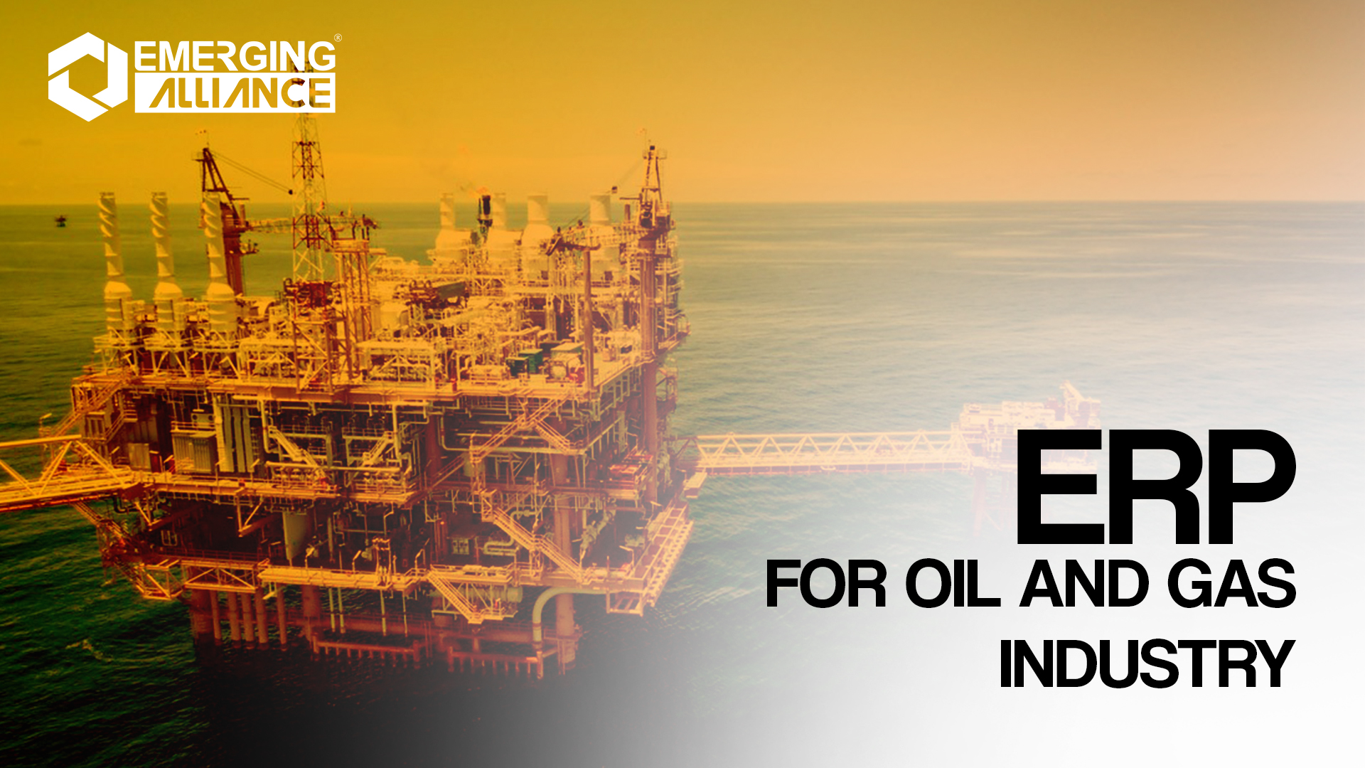 ERP for Oil & Gas Industry