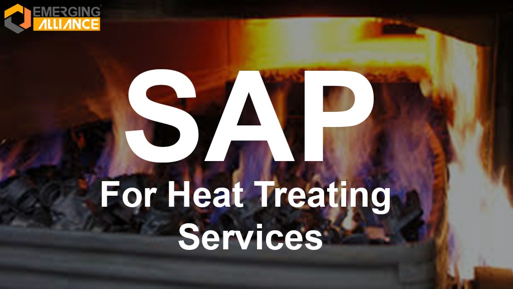 SAP for Heat Treating Services