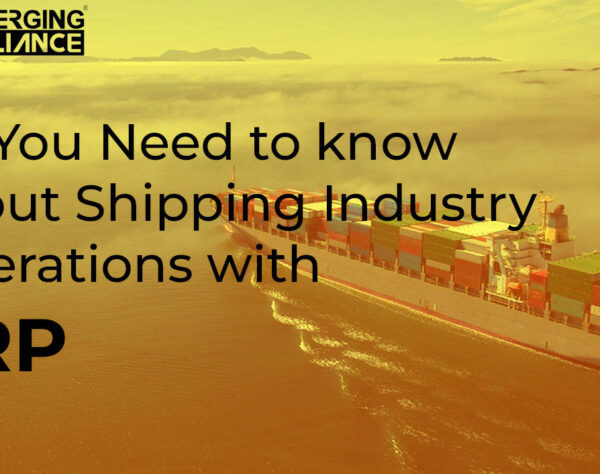 ERP for Shipping Industry