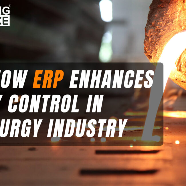 ERP for Metallurgy Industry