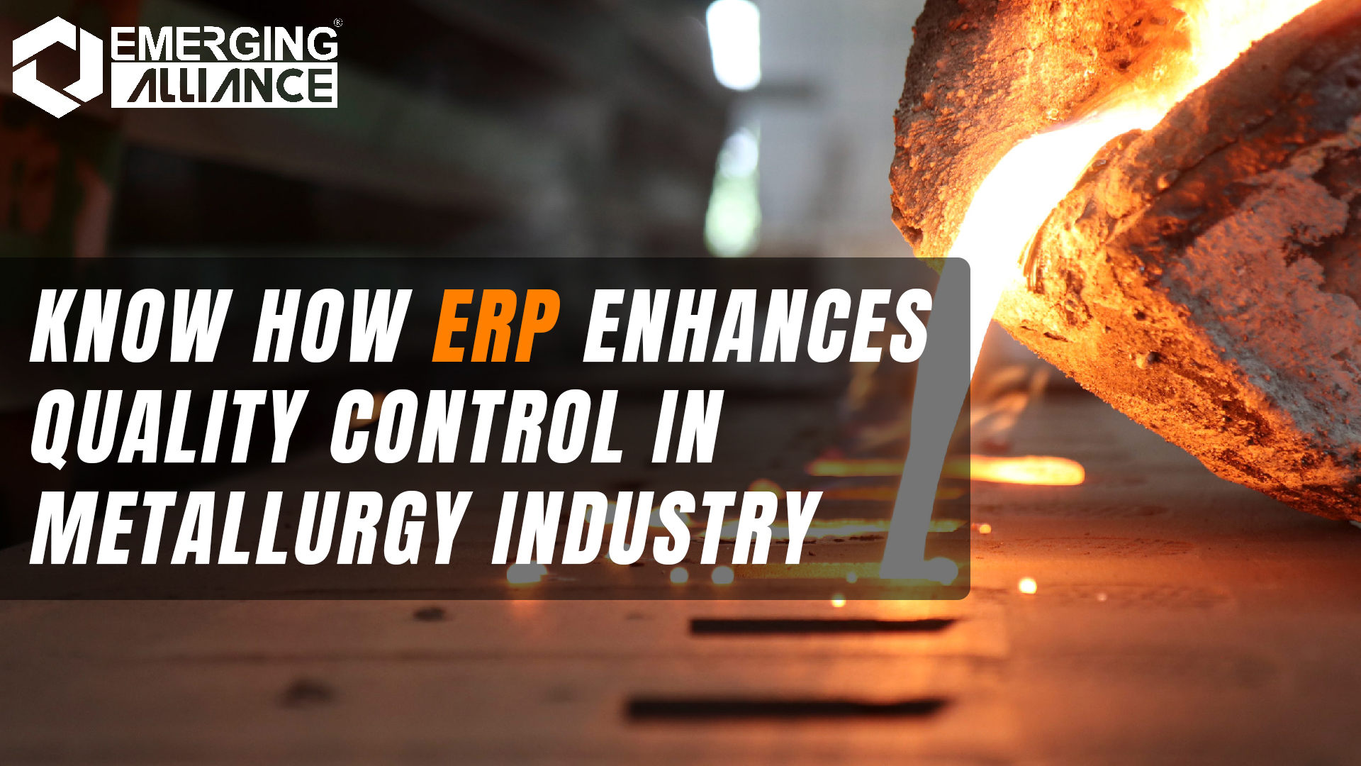 ERP for Metallurgy Industry