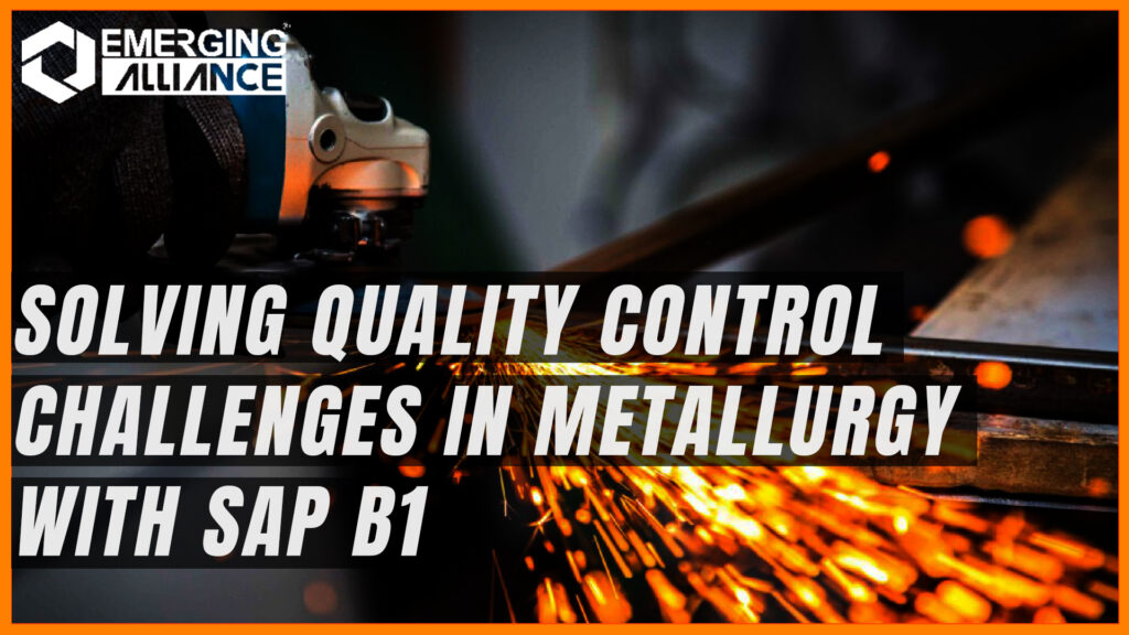 SAP B1 for Metallurgy Industry