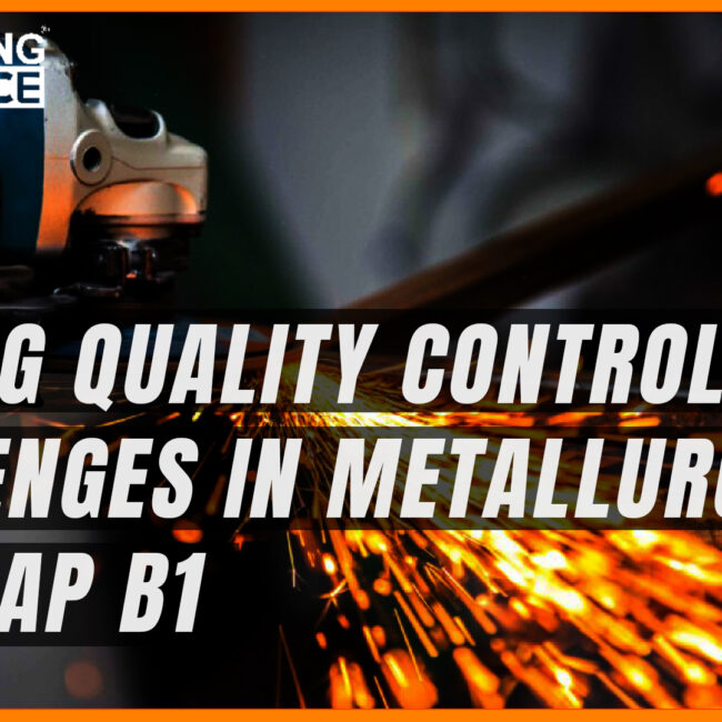 SAP B1 for Metallurgy Industry