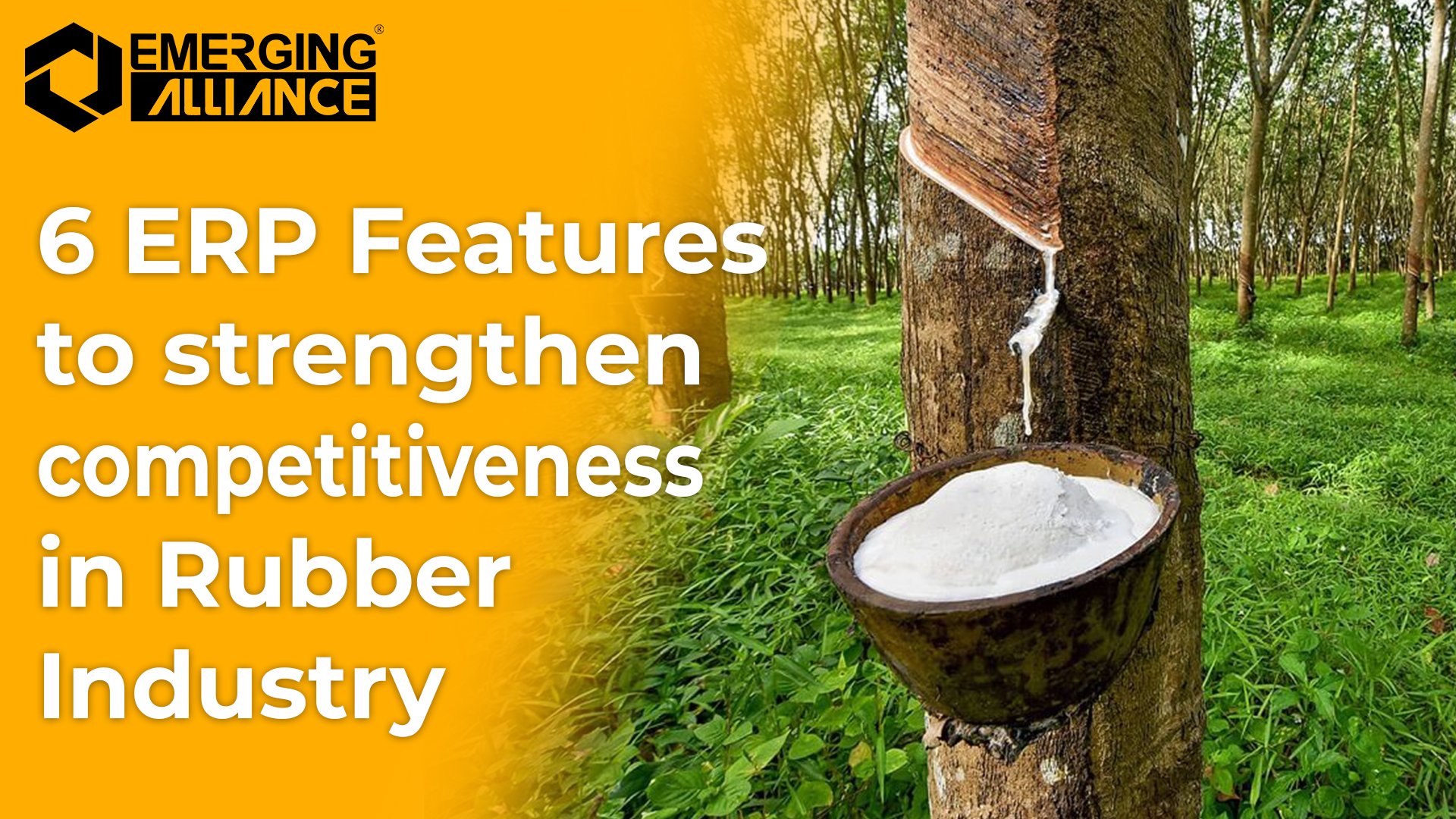 ERP for Rubber Industry