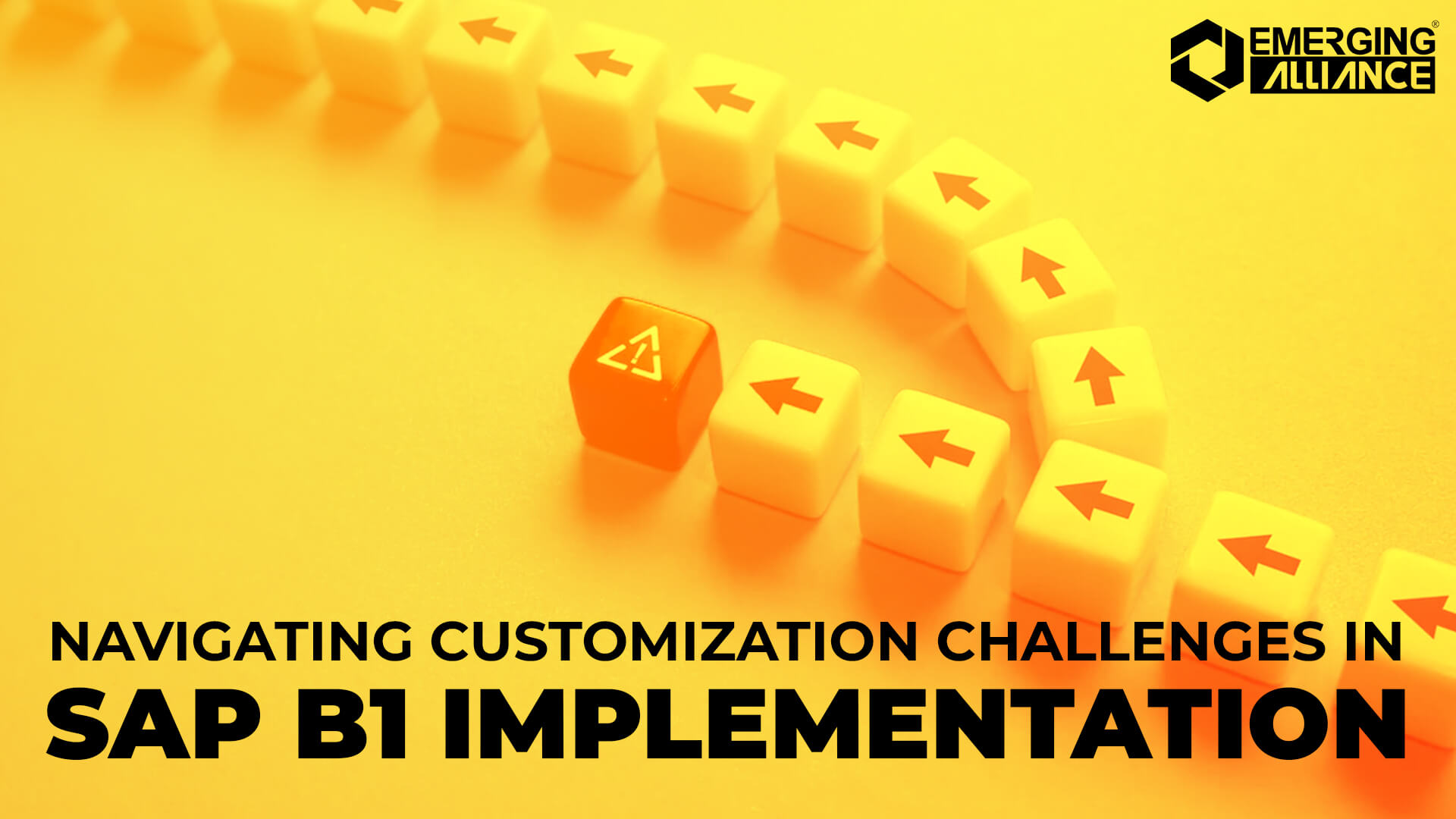 Customization Challenges in SAP B1