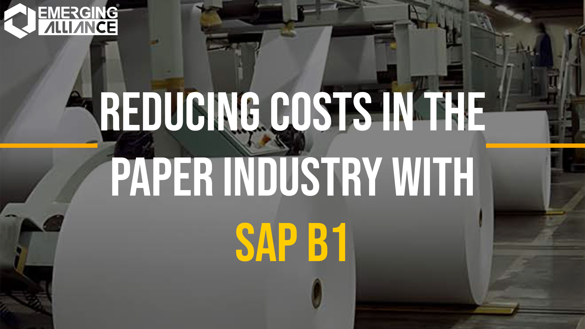 SAP B1 (SAP Business One) for Paper Industry