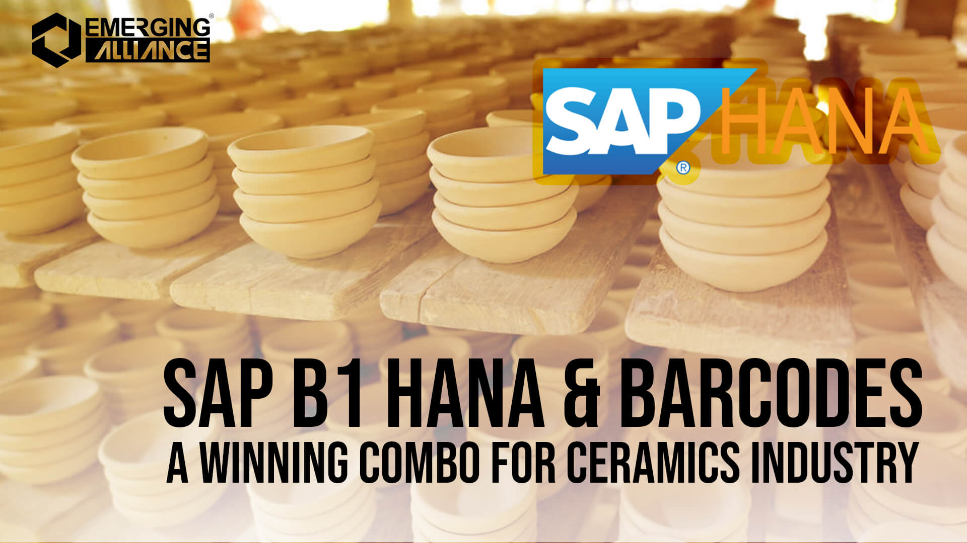 SAP Business one HANA & Barcodes for ceramics industry
