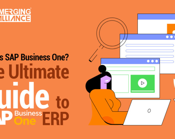 The Ultimate Guide to SAP B1 ERP