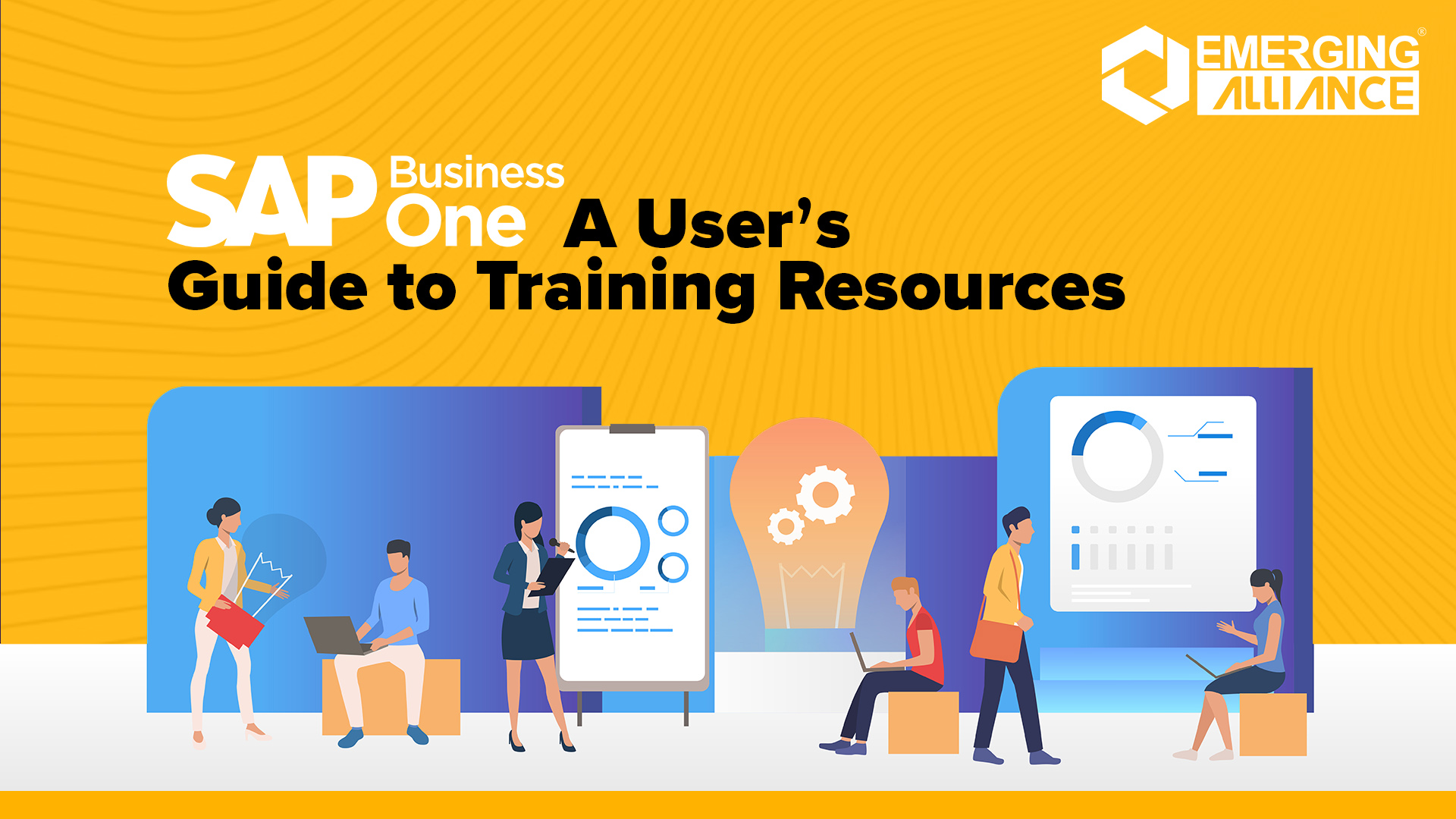 SAP Business One Training Resources