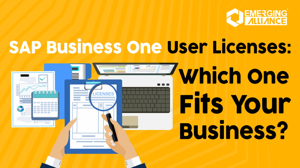 SAP Business One User Licenses