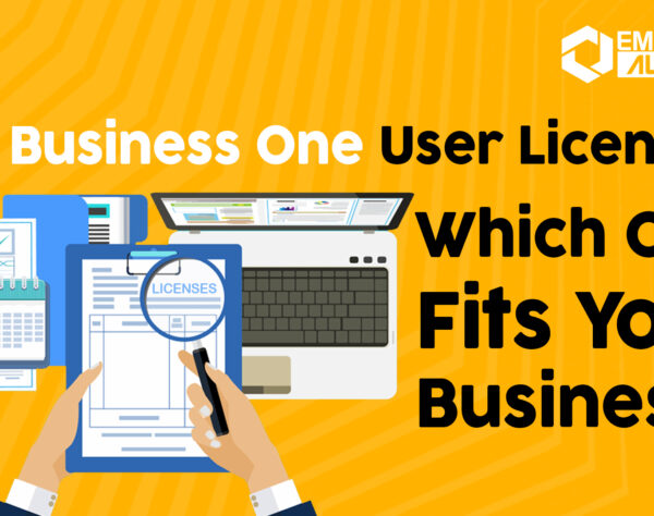 SAP Business One User Licenses