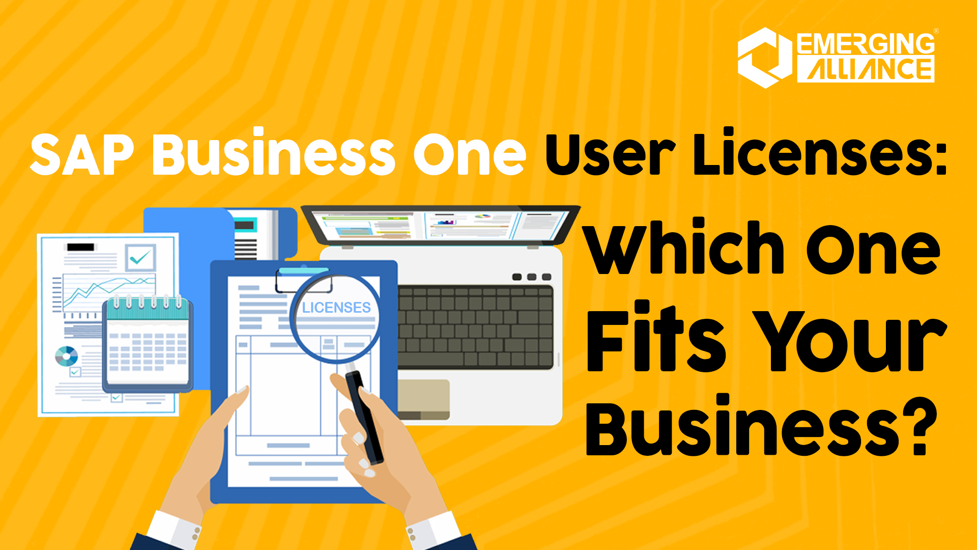 SAP Business One User Licenses