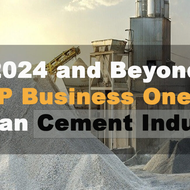 2024 and beyond: SAP B1 for cement industry in 2024