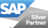 SAP B1 for silver partner