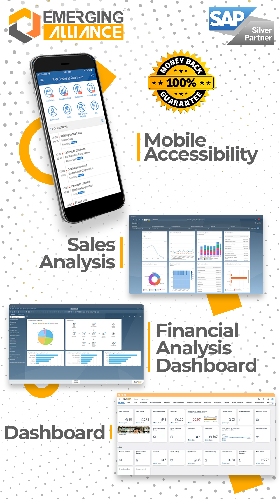 SAP silver Partner