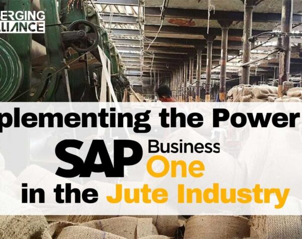 Implementing the Power of SAP Business One in the Jute Industry