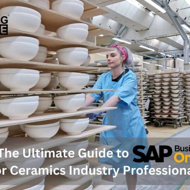 The Ultimate Guide to SAP Business One for Ceramics Industry Professionals
