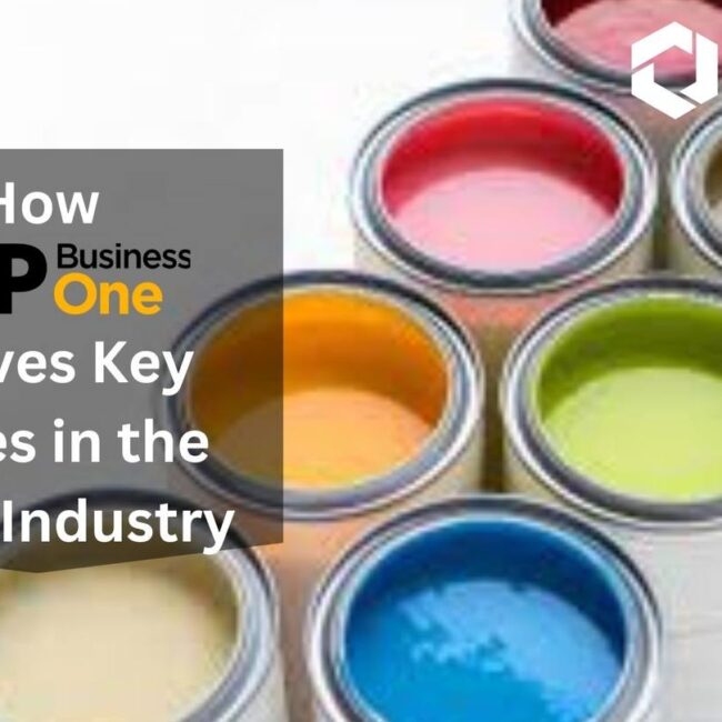 How SAP Business One Solves Key Issues in the Paint Industry