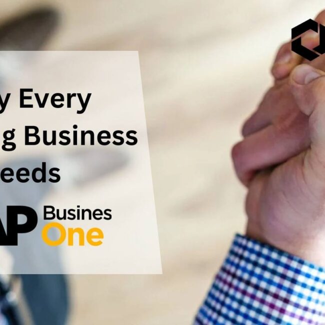 Why Every Growing Business Needs SAP B1?
