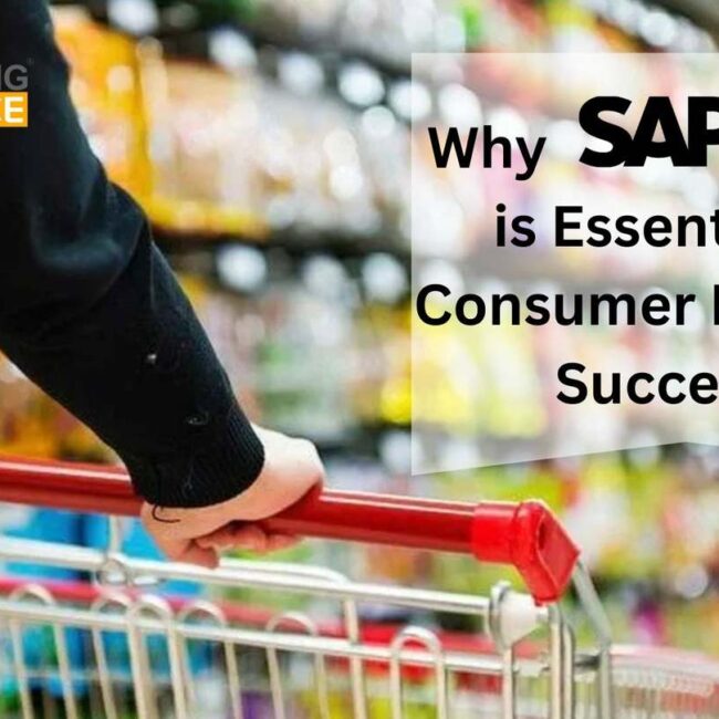 Why SAP Business One is Essential for Consumer Products Success ?