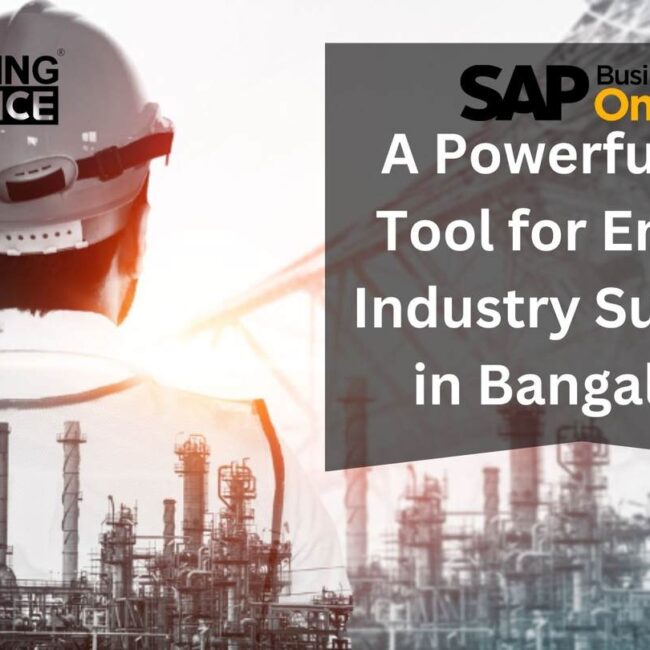SAP B1: A Powerful ERP Tool for Energy Industry Success in Bangalore