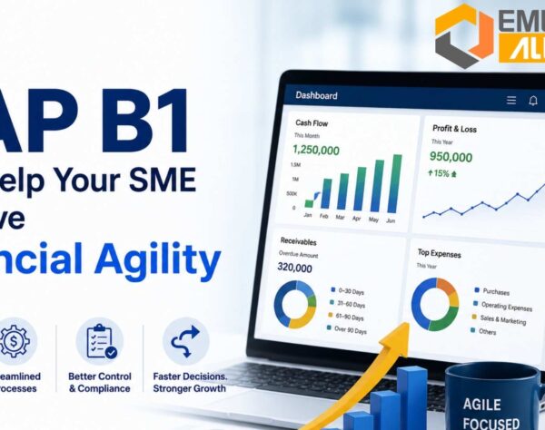 SAP B1 financial agility for SMEs