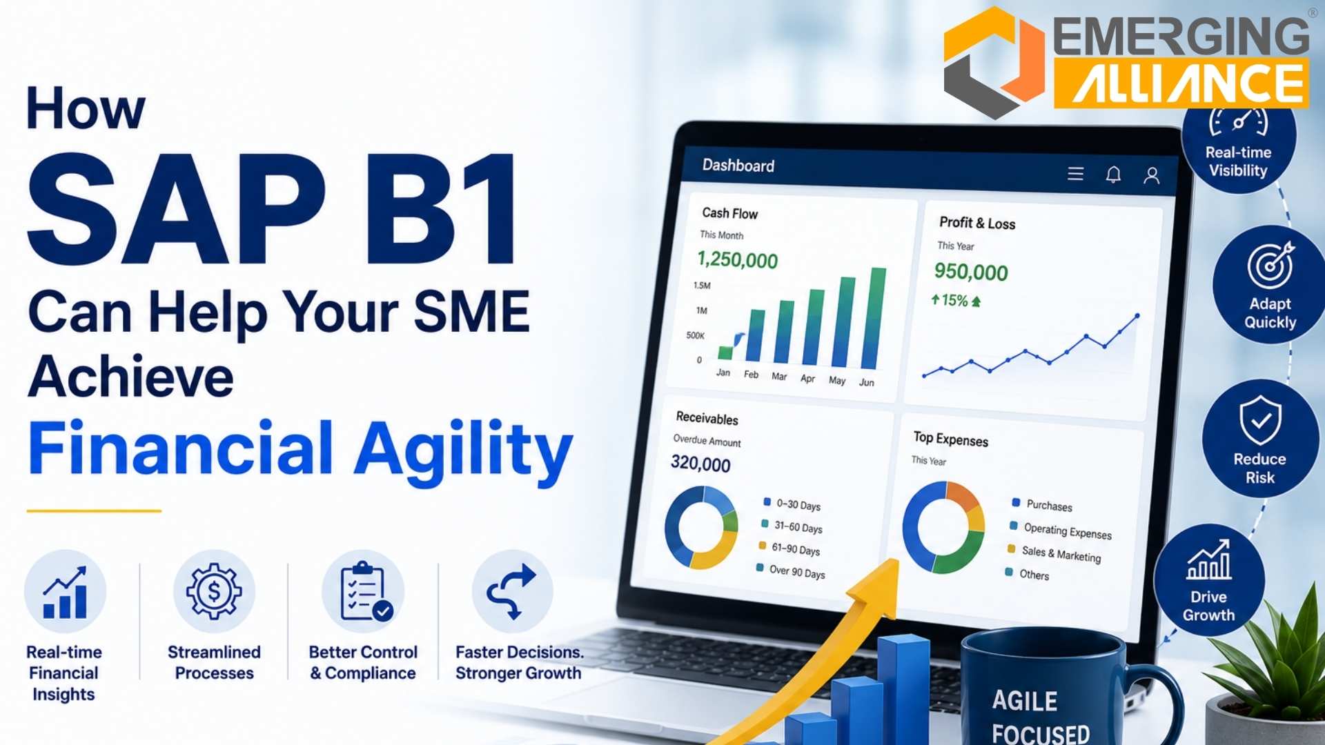 SAP B1 financial agility for SMEs