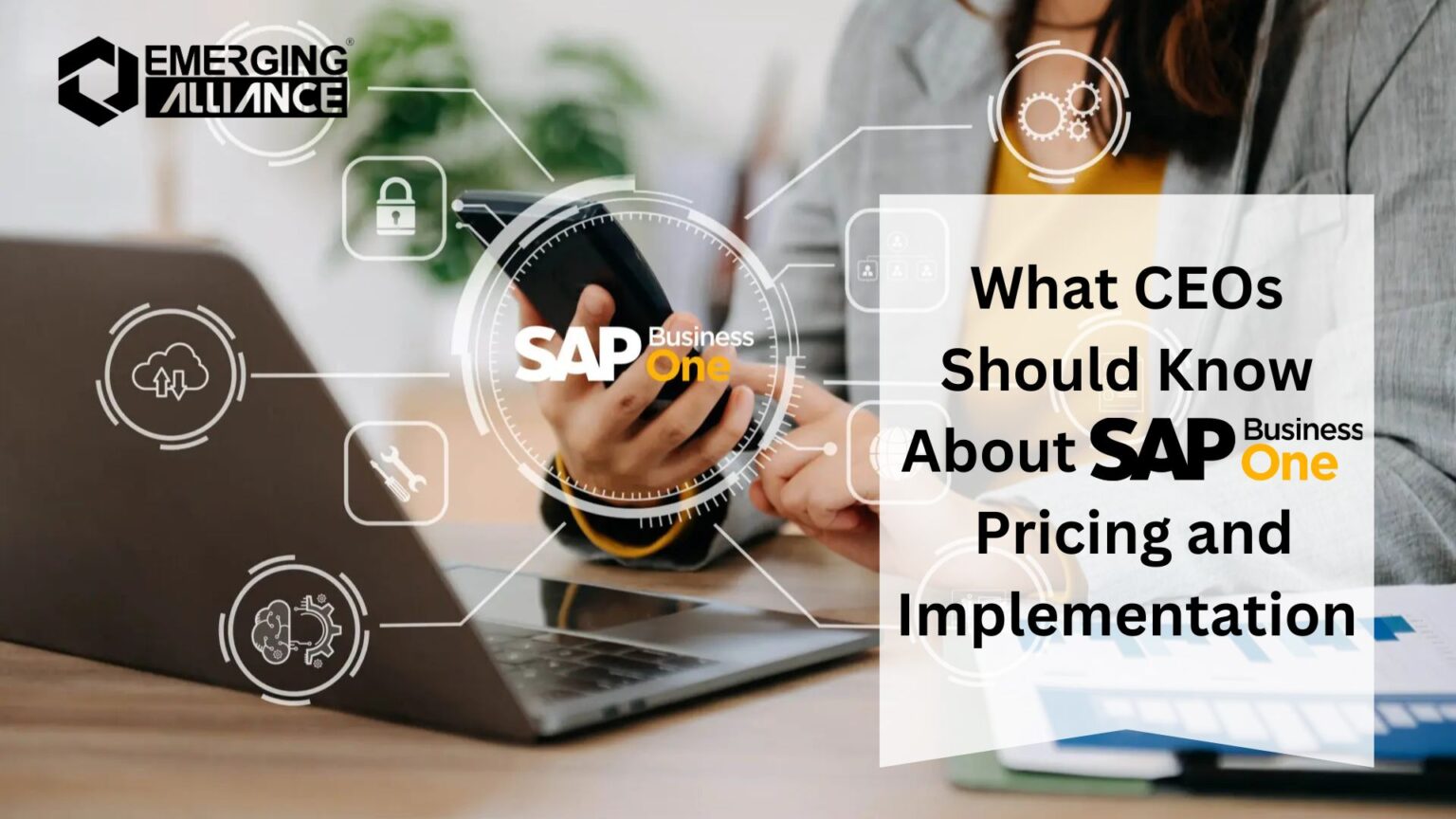 What CEOs Should Know About SAP B1 Pricing and Implementation?