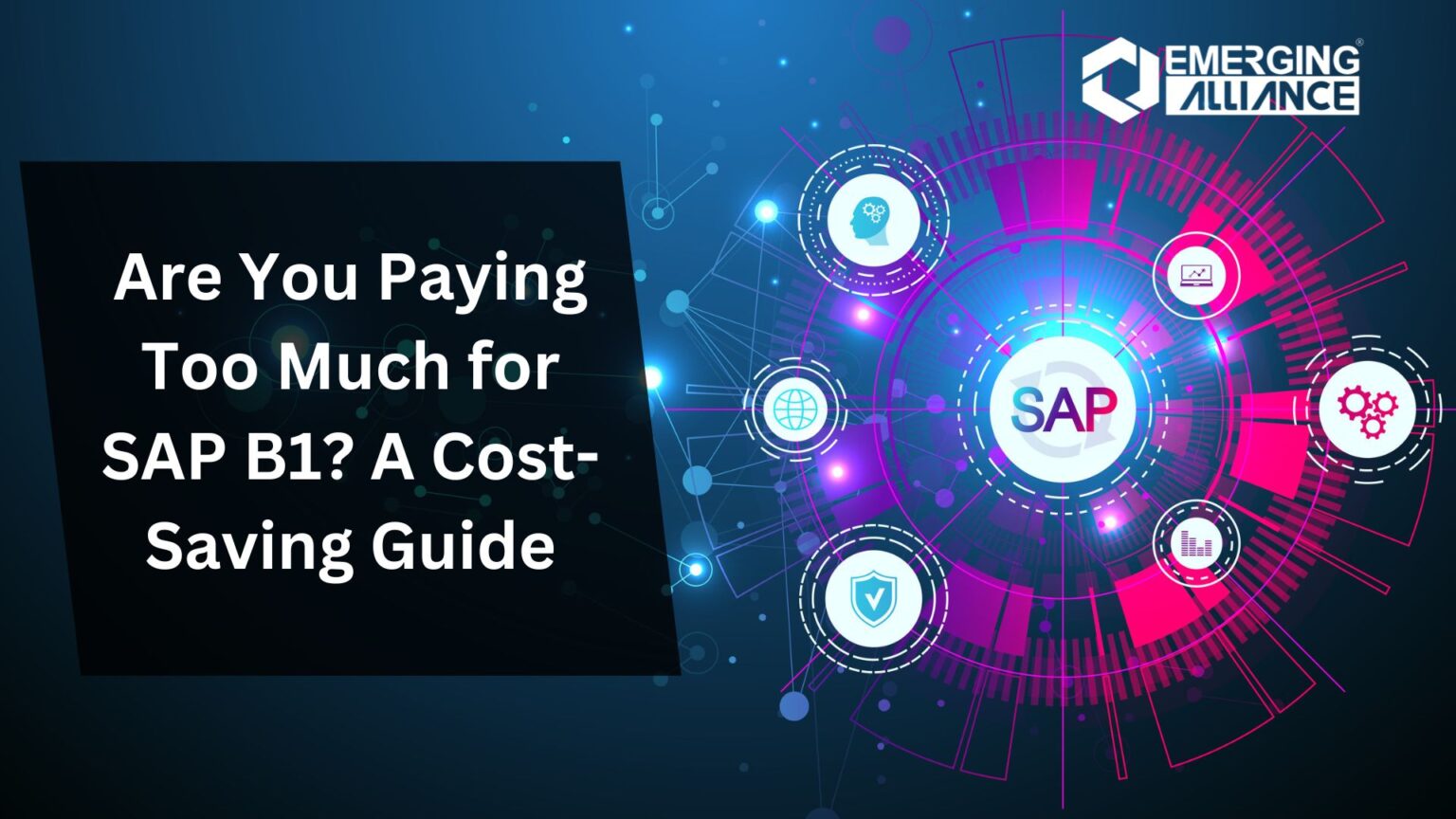 Are You Paying Too Much for SAP B1? A Cost-Saving Guide - SAP B1