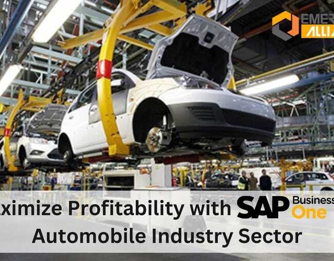 Maximize Profitability with SAP Business One in Automobile Industry Sector