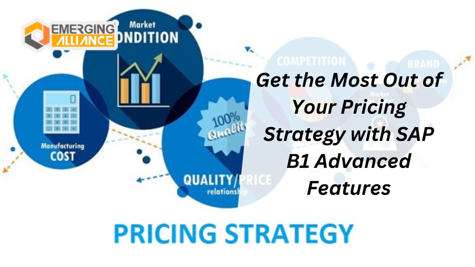 Get the Most Out of Your Pricing Strategy with SAP B1 Advanced Features ...