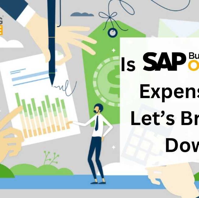 Is SAP B1 Too Expensive? Let’s Break It Down