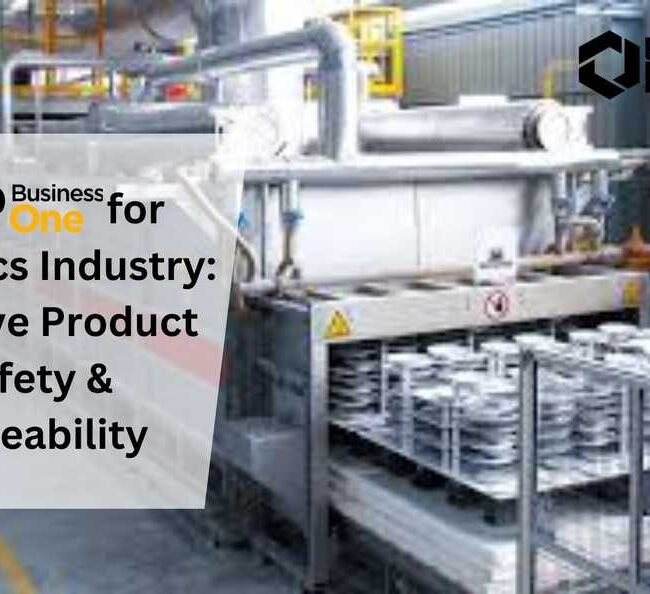 SAP B1 for Ceramics Industry: Improve Product Safety & Traceability