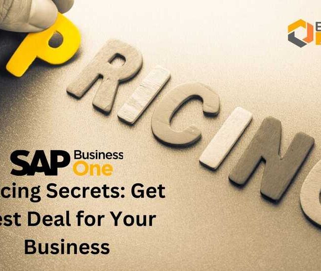 SAP Business One Pricing Secrets: Get Best Deal for Your Business