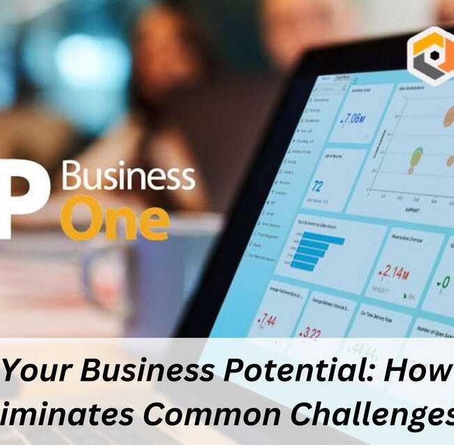 Unleash Your Business Potential: How SAP B1 Eliminates Common Challenges