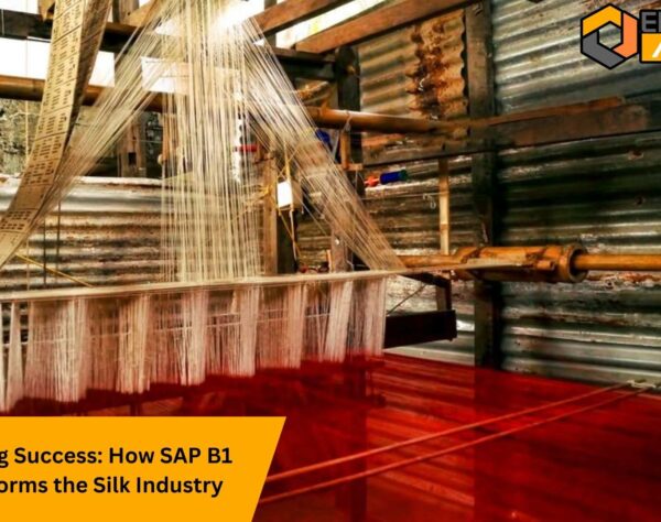 Weaving Success: How SAP B1 Transforms the Silk Industry