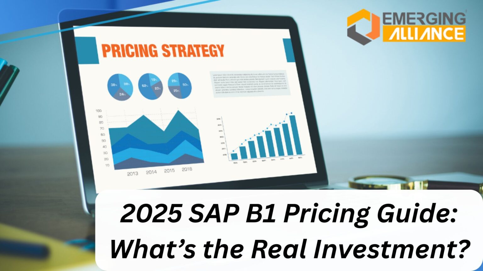 2025 SAP B1 Pricing Guide: What’s the Real Investment? - SAP B1
