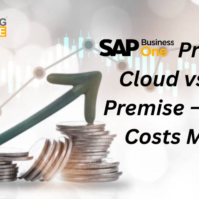 SAP Business One Pricing: Cloud vs. On-Premise – Which Costs More?