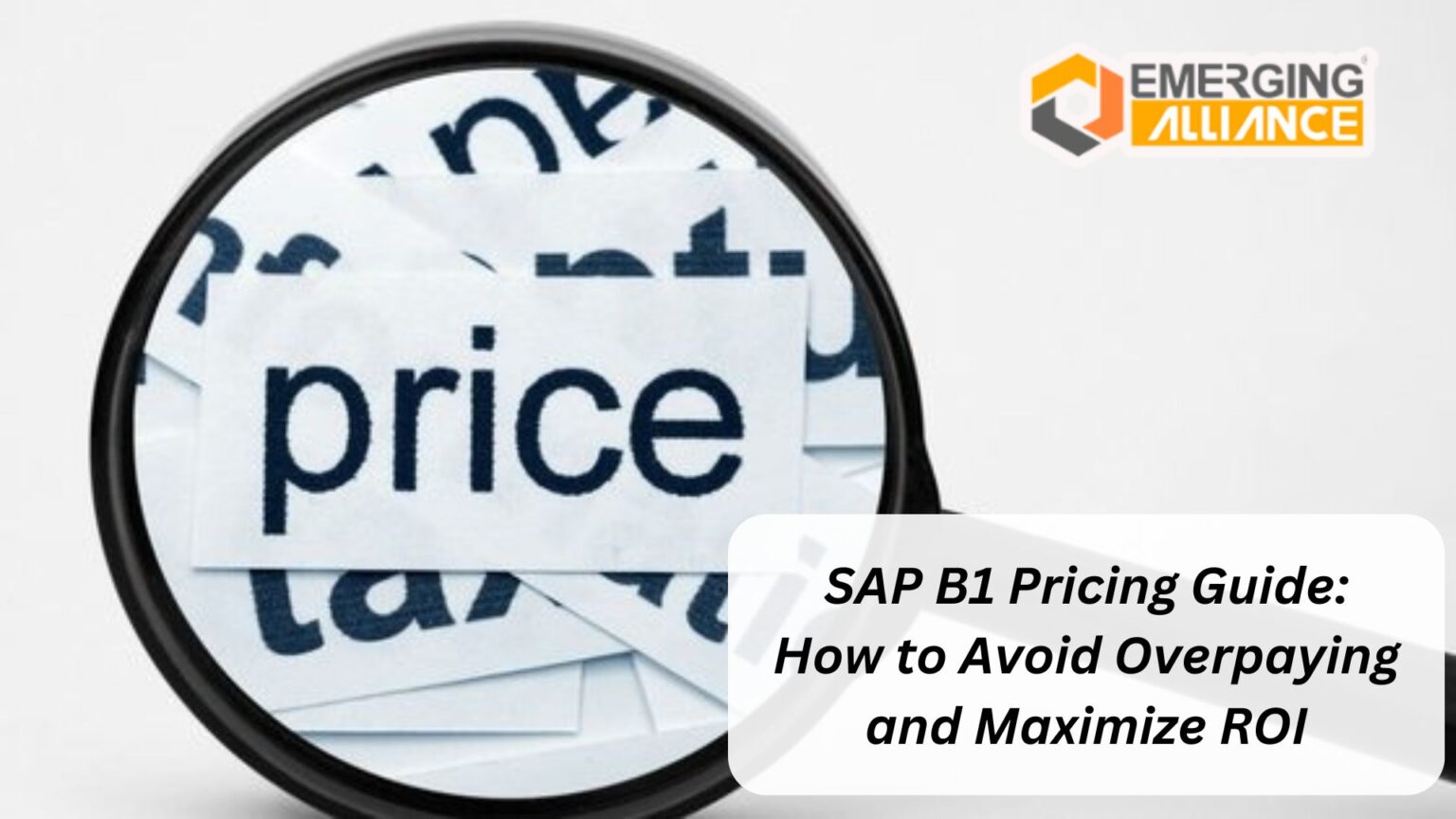 SAP B1 Pricing Guide: How to Avoid Overpaying and Maximize ROI - SAP B1