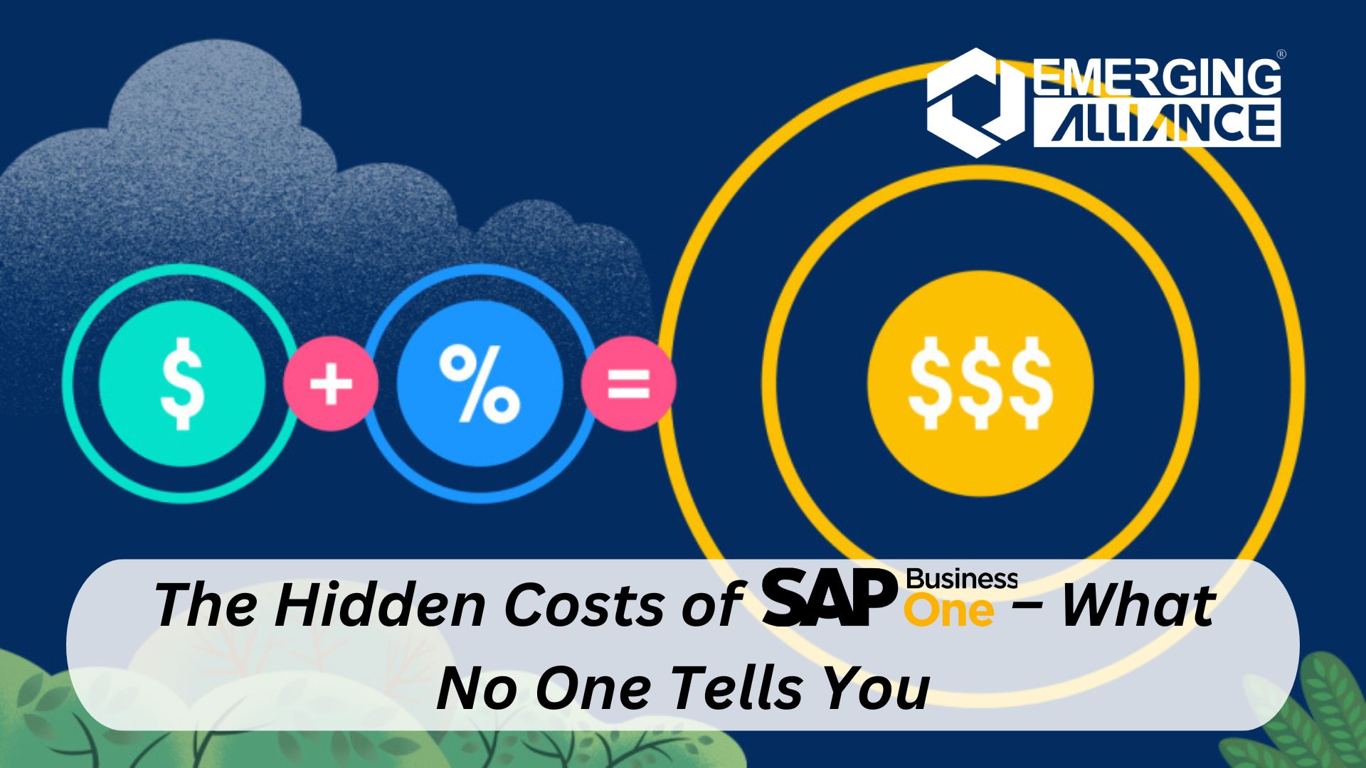 The Hidden Costs of SAP Business One – What No One Tells You - SAP B1