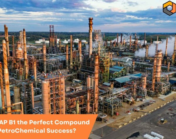 Why Is SAP B1 the Perfect Compound for PetroChemical Success?
