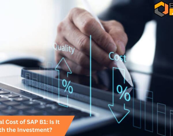The Real Cost of SAP B1: Is It Worth the Investment?