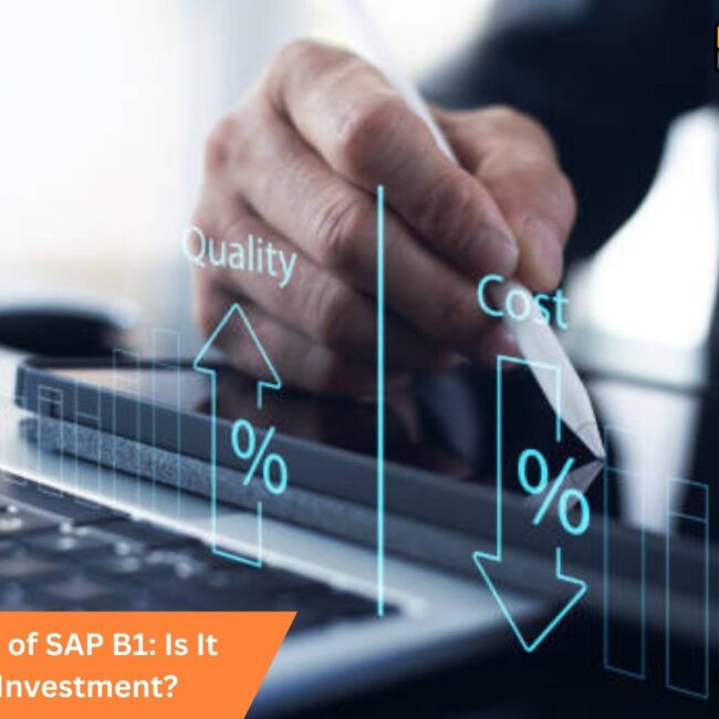 The Real Cost of SAP B1: Is It Worth the Investment?